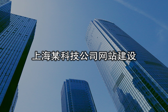 上海某科技公司網(wǎng)站建設(shè)